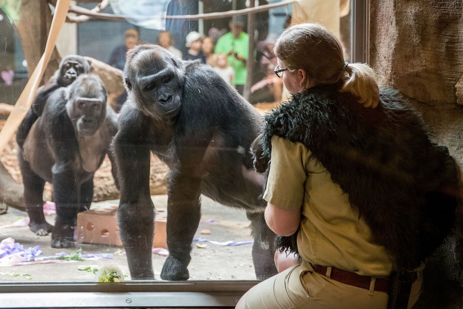 Baby gorilla debuts at Henry Doorly Zoo